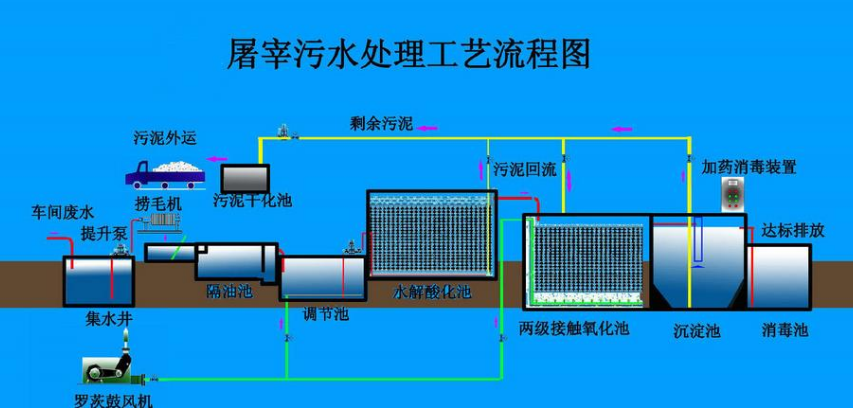 屠宰場(chǎng)污水處理用什么藥劑