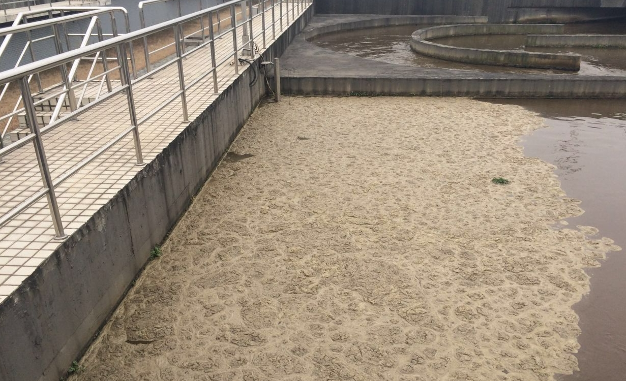 污泥在混凝沉淀池中上浮的原因